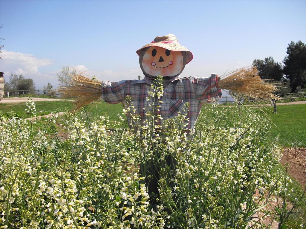 Vilar Rural De Кардона Екстер'єр фото